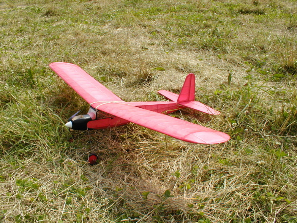 Scaled image Dallaire_at_Field_July_04.JPG 