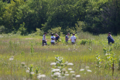 Thumbnail IMGP9290_s_2014_Aug9_Picnic.jpg 