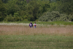 Thumbnail IMGP9371_s_2014_Aug9_Picnic.jpg 